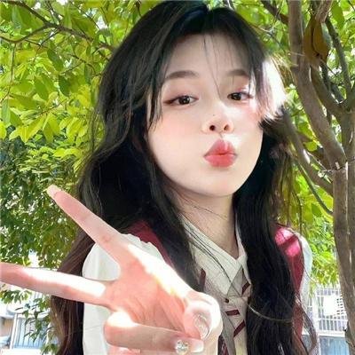 美人追